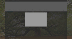 Desktop Screenshot of mudrac.com